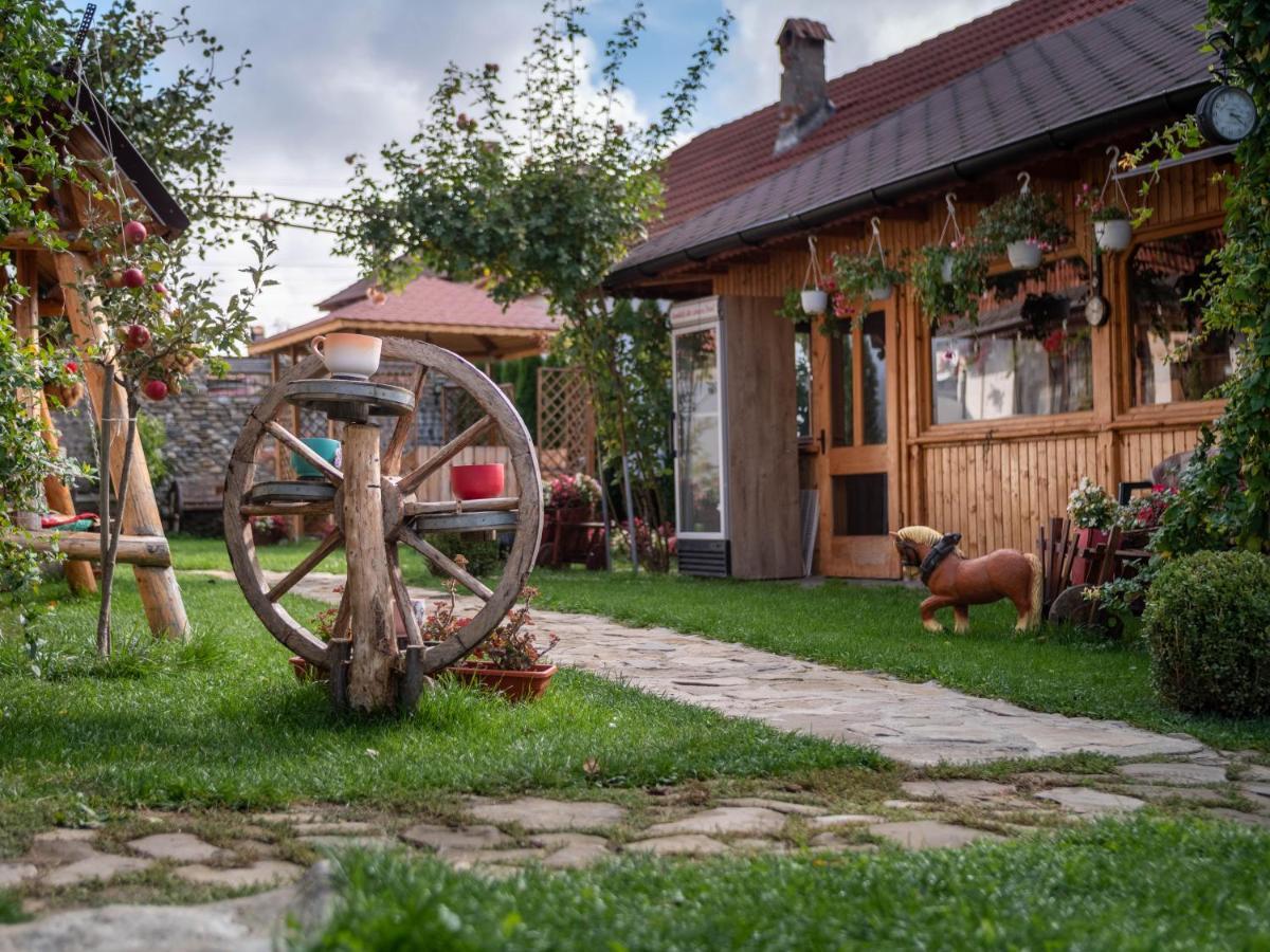 Agropensiunea Casa Nica Margineni  Exterior foto